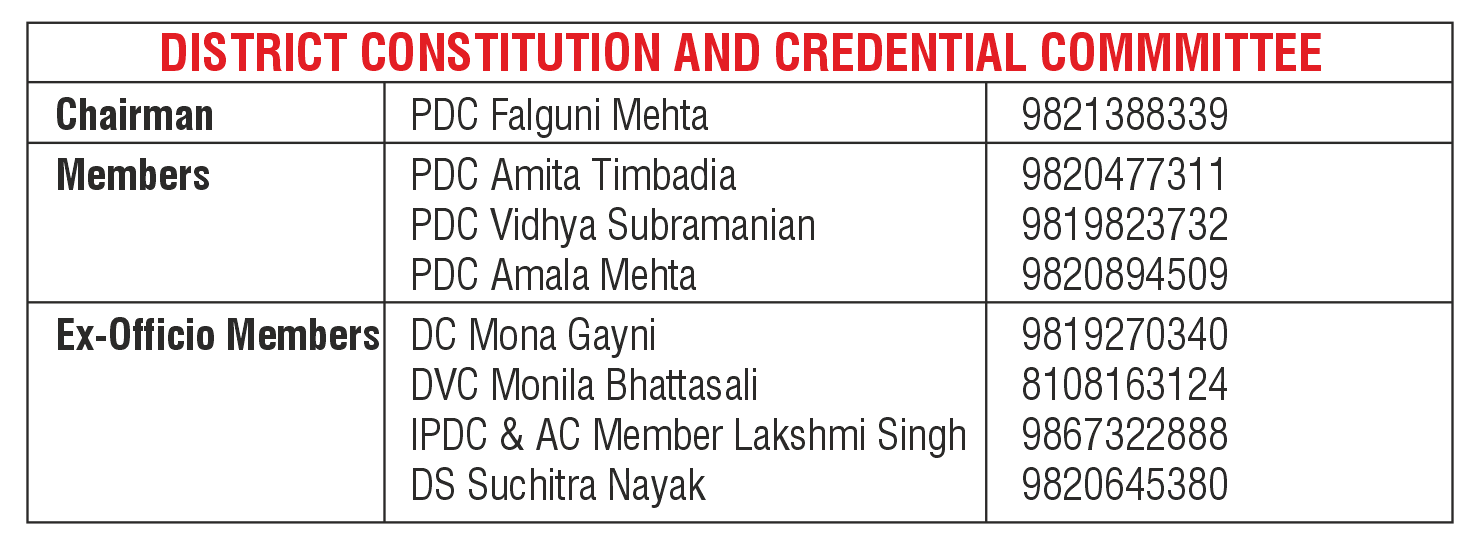 District Constitution and Credential Committee